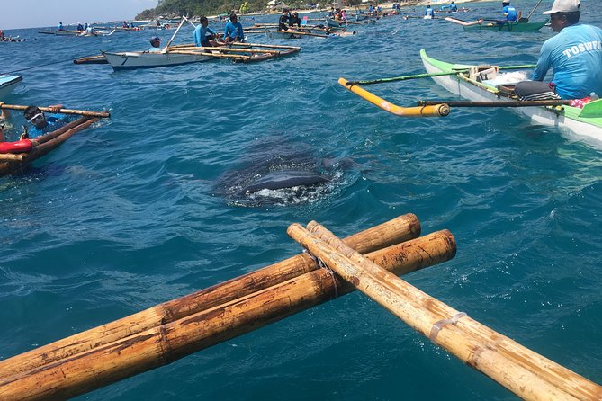 Oslob WhaleSharks, Aguinid Falls & Kawasan Main (Gatorade) Falls - The long drive from Cebu to Oslob (and how to handle it)