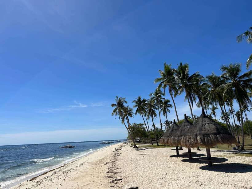 Pamilacan island: Dolphins, snorkel, lunch and walking tour - Why Pamilacan makes sense as a calmer Bohol Sea day