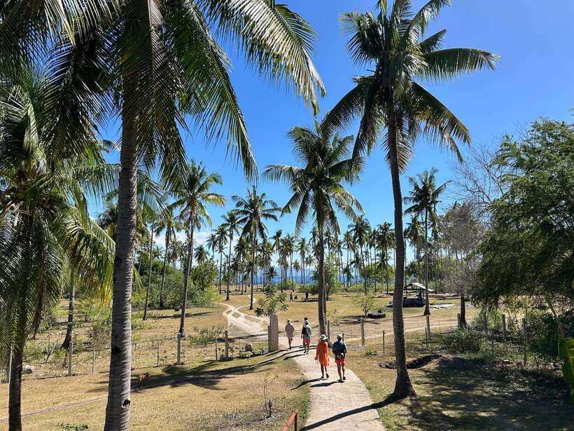 Pamilacan island: Dolphins, snorkel, lunch and walking tour - Unlimited guided snorkeling in the marine sanctuary, coral garden, and turtle spotting