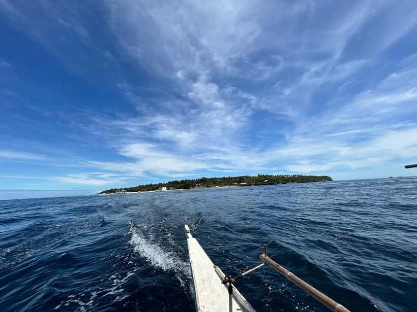 Pamilacan island: Dolphins, snorkel, lunch and walking tour - The island walk: Spanish fort history and sustainable living