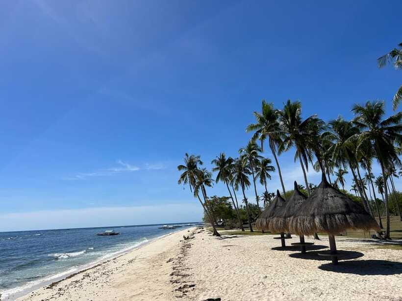 Pamilacan island: Dolphins, snorkel, lunch and walking tour - Small practical tips that can save your day