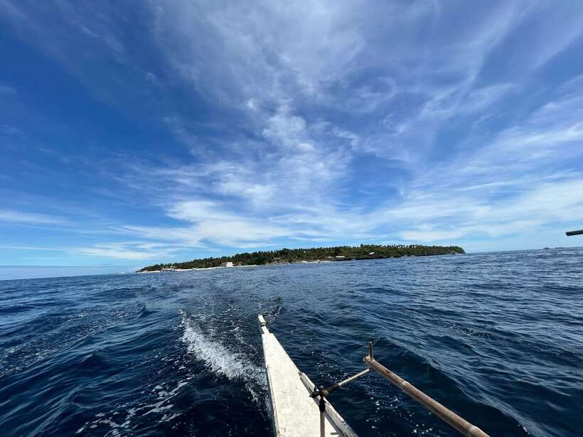 Pamilacan island: Dolphins, snorkel, lunch and walking tour - Getting from Panglao to the island, without the chaos