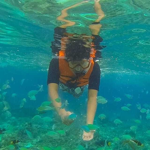 Panglao:Balicasag Island Tour with Turtle & Dolphin Watching - Key things to know before you go