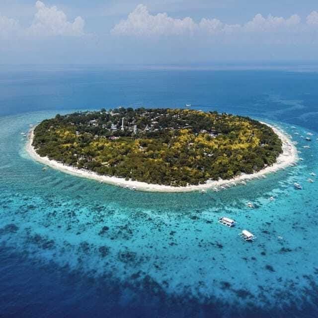 Panglao:Balicasag Island Tour with Turtle & Dolphin Watching - Dolphin Watching in Panglao: What You Should Expect to See