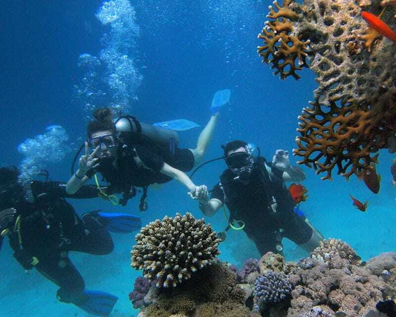Panglao Bohol: Try Scuba Diving at Napaling and Sardines - Price and value: what $105 includes, and why it can be fair