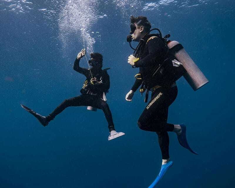 Panglao Bohol: Try Scuba Diving at Napaling and Sardines - Who this tour suits best in Panglao, Bohol