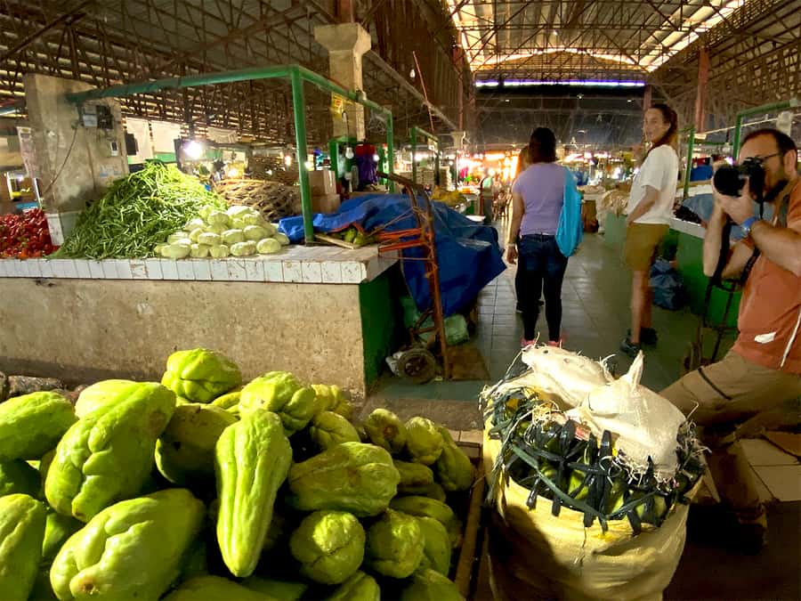 Panglao: Dao, Forests, and Tarsier Sanctuary Tour with Lunch - Lunch by the rice paddy, family cooking that adds real heart to the day