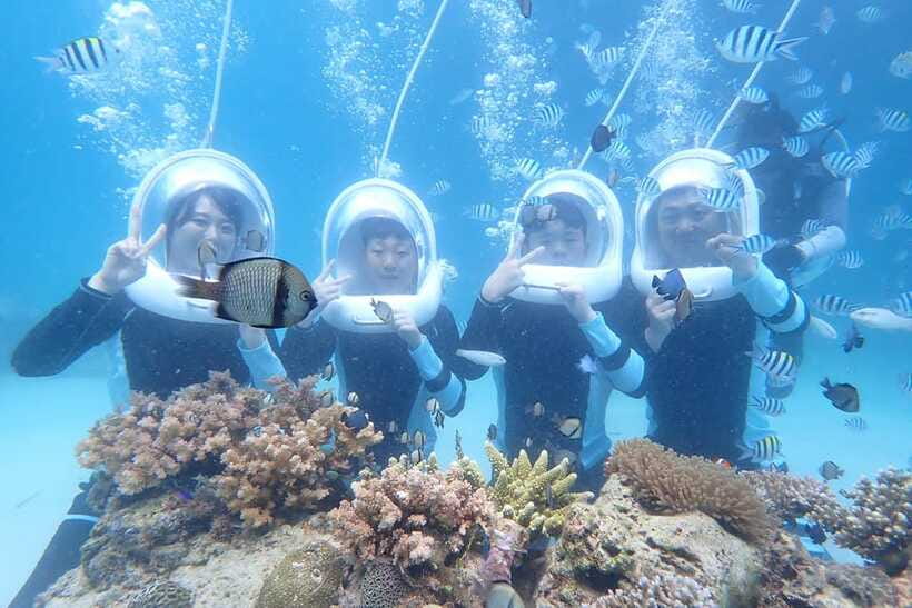 Panglao: Helmet Diving Experience with Photos and Videos - Key highlights that make this helmet reef walk worth your time