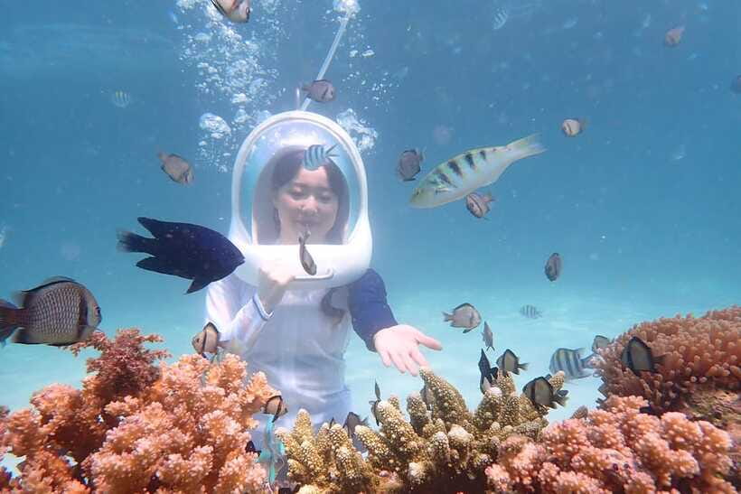 Panglao: Helmet Diving Experience with Photos and Videos - What you’ll see underwater: coral, colorful fish, and sea turtles
