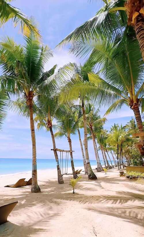 Panglao Island Escape: Cave Swim, White Sand Beach & More - Who this tour fits best