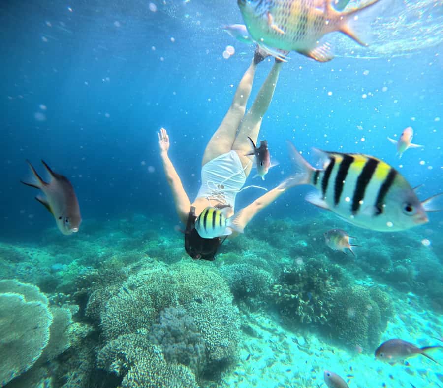 Panglao: Island Hopping w/Balicasag (Shared) - Key things to know before you go