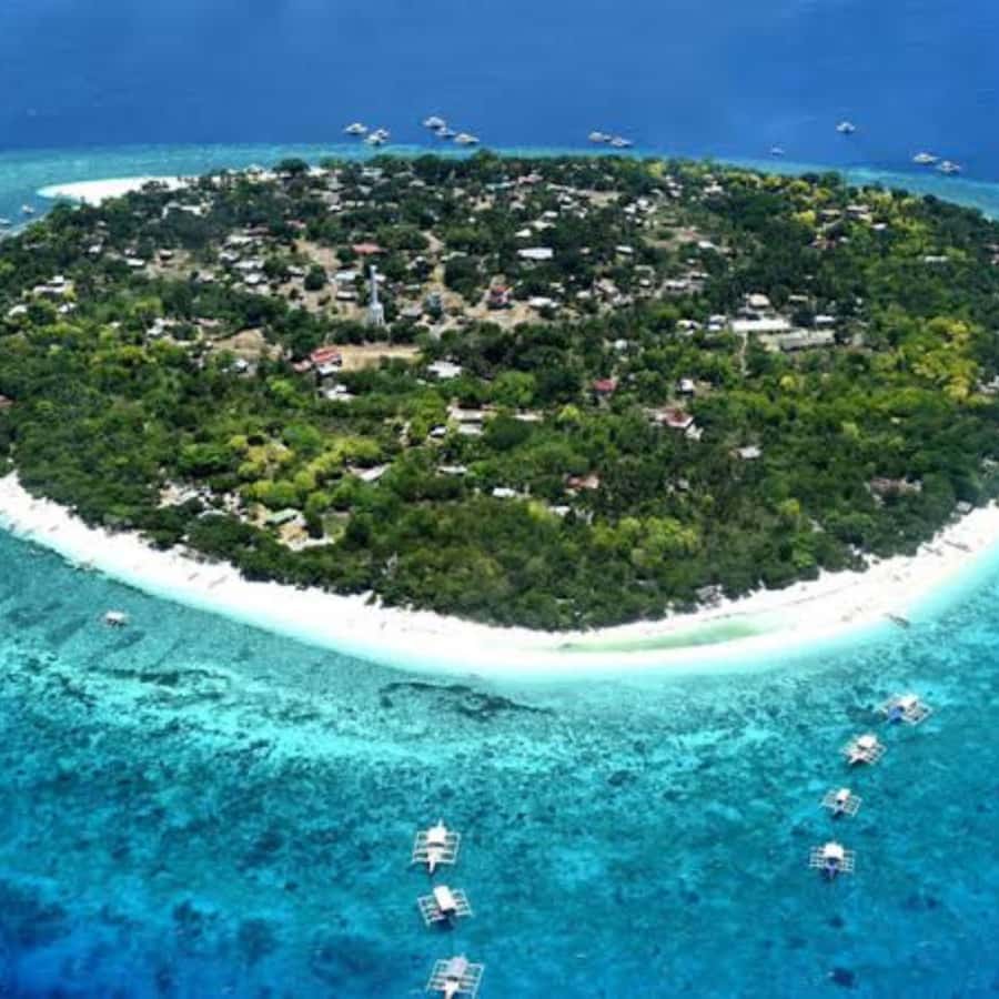Panglao: Island Hopping w/Balicasag (Shared) - Balicasag Island snorkeling: mask, vest, fish feeding, and marine viewing