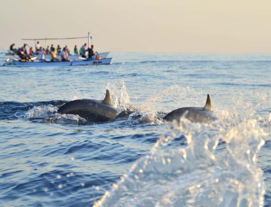 Panglao: Island Hopping w/Balicasag (Shared) - What to bring for an easy morning in Panglao
