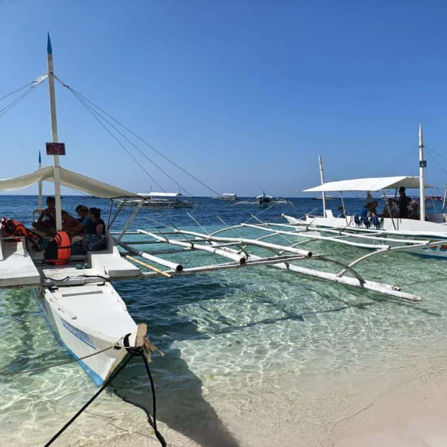 Panglao: Island Hopping w/Balicasag (Shared) - McDonald’s Alona meetup, shared boat setup, and what to expect on timing