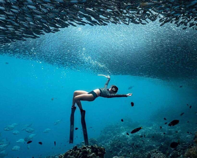 Panglao: Napaling Reef and Sardines Freediving Experience - The Napaling Reef swim: what you’ll notice once you’re at the wall