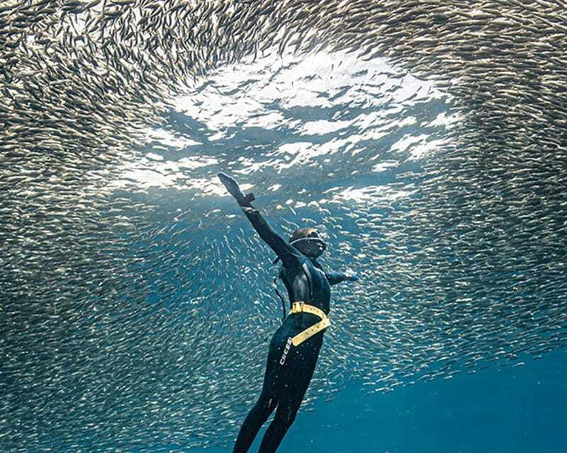Panglao: Napaling Reef and Sardines Freediving Experience - Price and value: when $53 makes sense (and when it doesn’t)