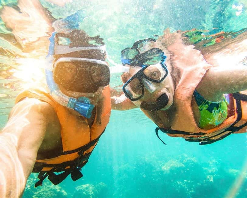 Panglao: Snorkeling at NapalingReef with Sardines Experience - Meeting at Freedive Academy Panglao, and the short scooter transfer