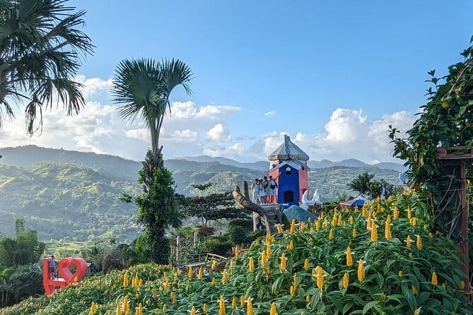 Panoramic View of Cebu and Dinner with Night View - Who Should Book This Temple-and-Night-View Tour?