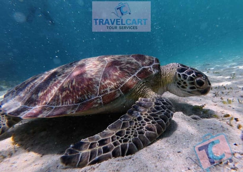 PORT BARTON: Full-day Shared Island Hopping Tour A - The Sandbar Stop and Starfish Photo Moment