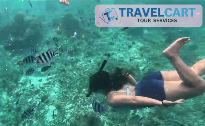 PORT BARTON: Full-day Shared Island Hopping Tour A - The Environmental Fee at the Wharf, and What to Do With It