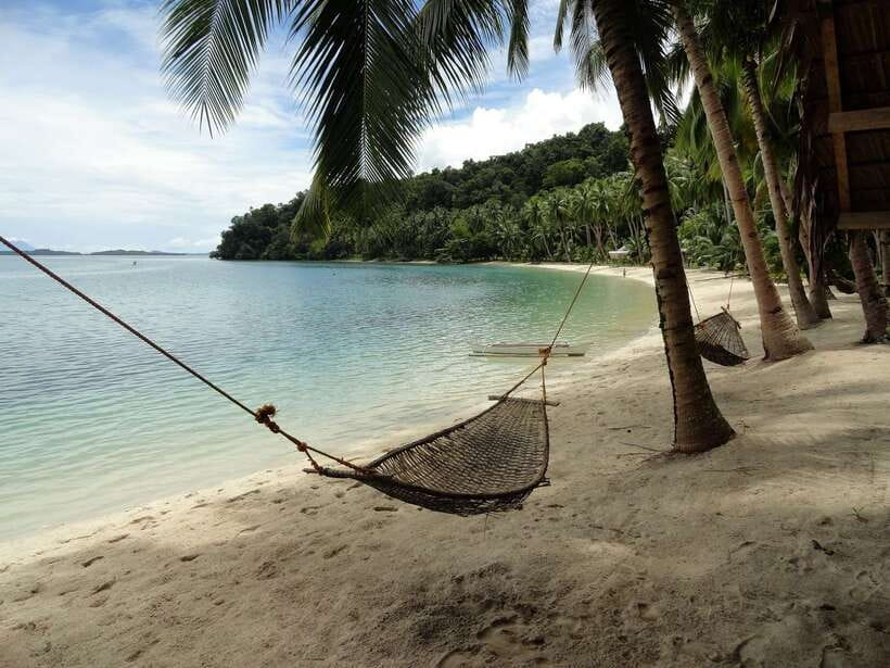 Port Barton: Island Hopping to Turtle Spot & Reef with Lunch - Turtle Spot: Your Best Shot at Seeing Sea Turtles Up Close