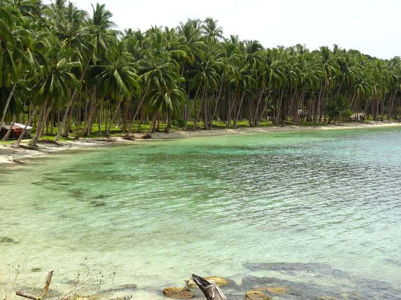 Port Barton: Island Hopping to Turtle Spot & Reef with Lunch - Exotic or Maxima Island: White Sand Time and a Much-Needed Reset