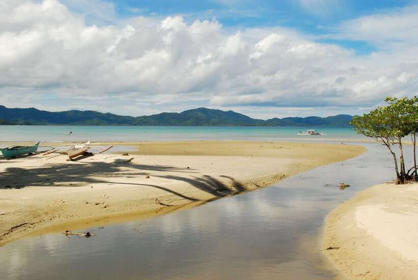 Port Barton: Island Hopping to Turtle Spot & Reef with Lunch - Twin Reef: Coral Snorkeling When You Want the Color Show