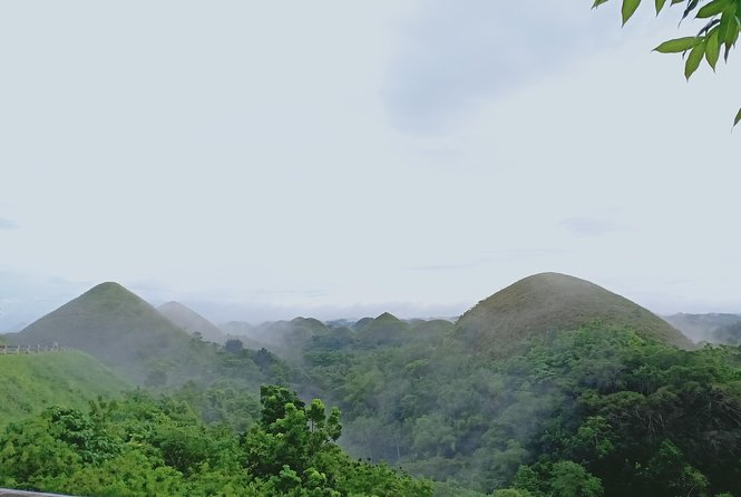 Private Day Trip Cebu to Bohol w/ Chocolate Hills & Loboc Cruise - Loboc River lunch on a floating restaurant