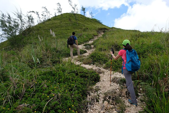 Private Kawasan Falls and Osmena Peak Day Trip from Cebu City - Osmeña Peak: A Quick Climb for Sea, Farms, and Best Photo Views