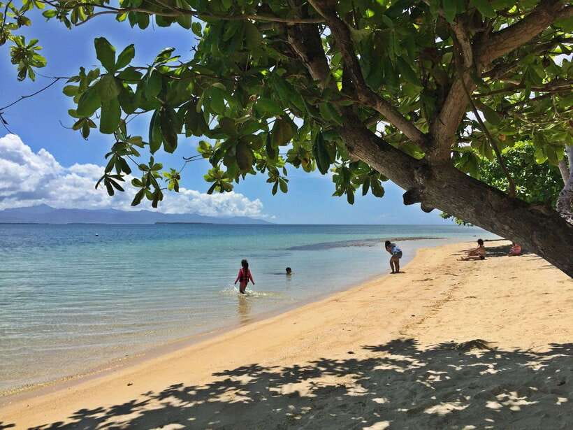 Puerto Princesa: Cowrie Island Guided Day Tour with Meal - Cowrie Island from Puerto Princesa: why this half-day beach plan makes sense