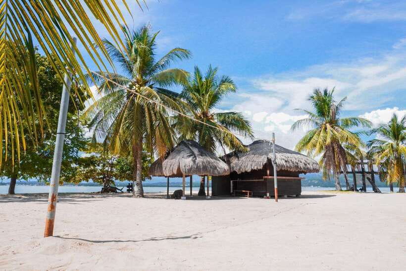 Puerto Princesa: Cowrie Island Guided Day Tour with Meal - The BBQ brunch you actually want: what is included and how to plan around it