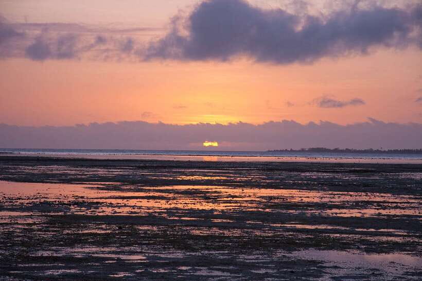 Puerto Princesa: Firefly Watching Bay Cruise with Dinner - The Surprise Glow: Bioluminescent Plankton in the Estuary