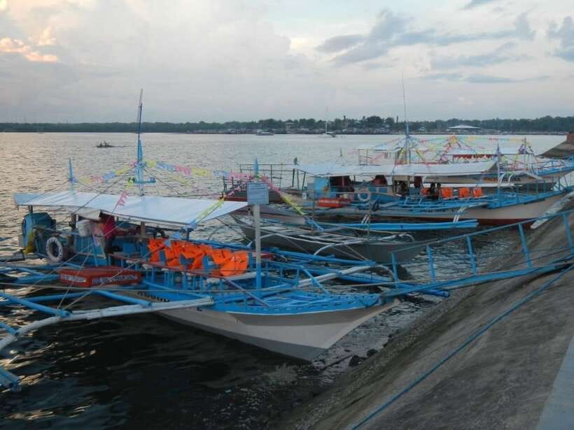 Puerto Princesa: Firefly Watching Bay Cruise with Dinner - Should You Book This Firefly Watching Bay Cruise?