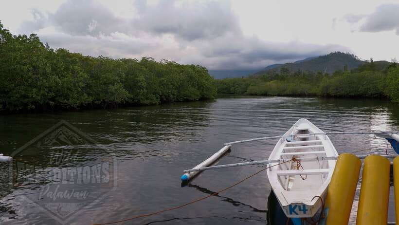Puerto Princesa: Firefly Watching Paddle Boat Tour & Dinner - Fireflies After Sunset, with Dinner and Transport Built In
