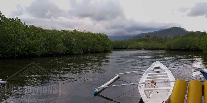Puerto Princesa: Firefly Watching Paddle Boat Tour & Dinner - The Main Event: Paddle Boat Cruise and Firefly Spotting