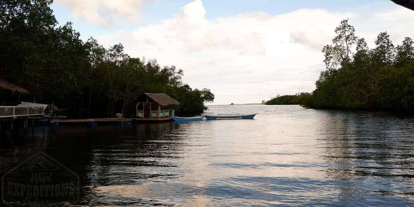 Puerto Princesa: Firefly Watching Paddle Boat Tour & Dinner - Why Firefly Education Is Part of the Value