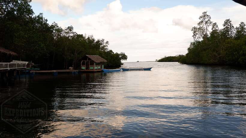 Puerto Princesa: Firefly Watching Paddle Boat Tour & Dinner - Pickup Timing in Puerto Princesa City, Then Baywalk Meet Up