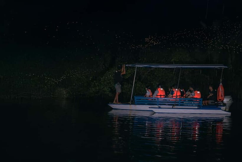 Puerto Princesa: Firefly Watching Tour with Dinner - Live Entertainment After the Fireflies: A Nice Finish, Not a Detour