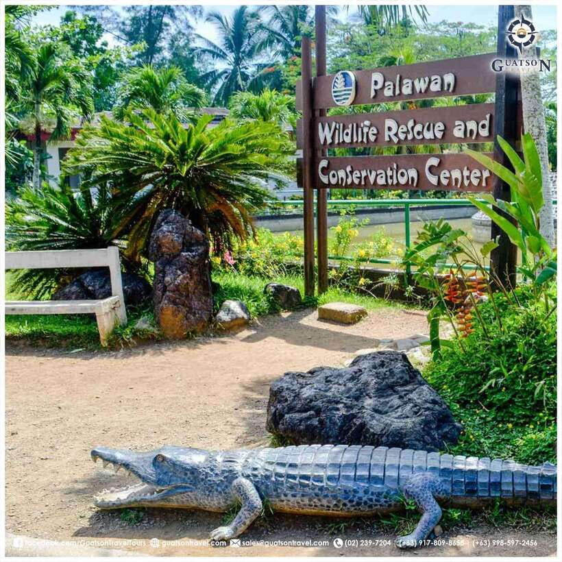 Puerto Princesa Half Day City Tour (shared tour) - Morning vs Afternoon: when you go changes the vibe