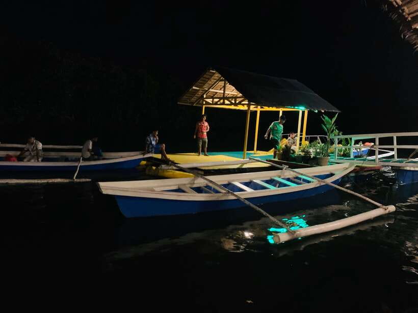 Puerto Princesa: Jungle Firefly Watching Boat Tour & Dinner - Dinner before the lights: local food that keeps the evening comfortable