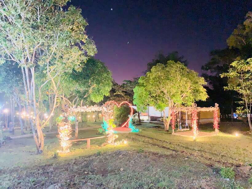 Puerto Princesa: Jungle Firefly Watching Boat Tour & Dinner - Who should book this Puerto Princesa firefly boat tour?