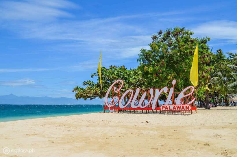 Puerto Princesa: Private Honda Bay Island Hopping Tour - Pambato Reef snorkeling: coral, fish, and the limits you should know