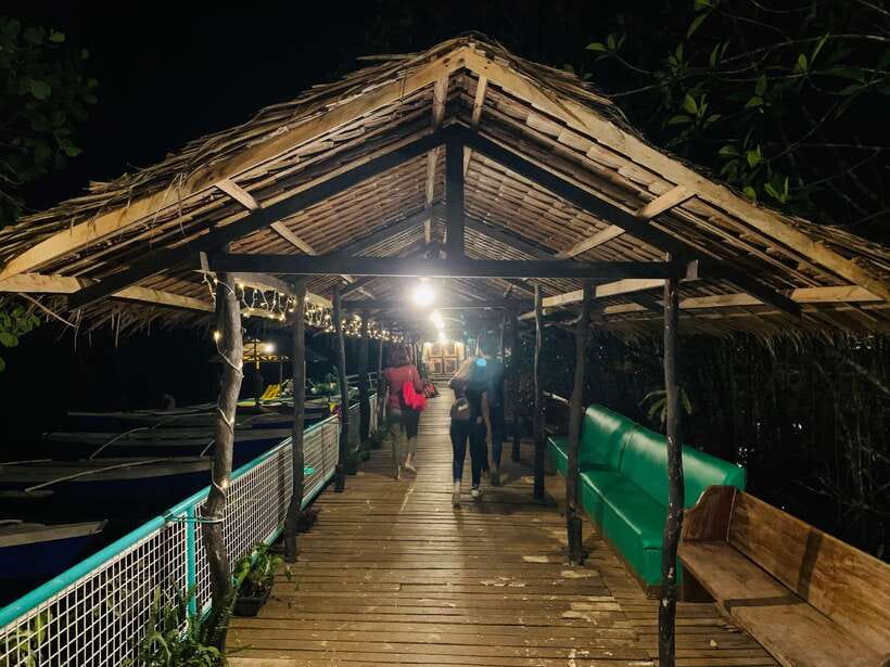Puerto Princesa: Underground River and Firefly Watching Tour - Price and value: what $86 covers and what you pay on-site