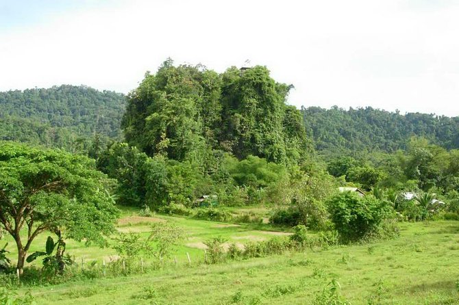 Puerto Princesa Underground river excursion tour UNESCO - Pickup timing, cruise port logistics, and the road trip reality