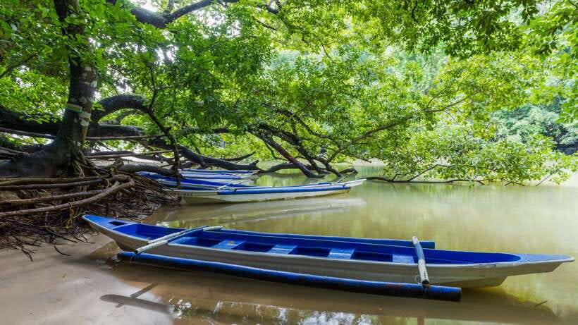 Puerto Princesa Underground River Tour in Palawan - Boat transfer and entering the Underground River National Park