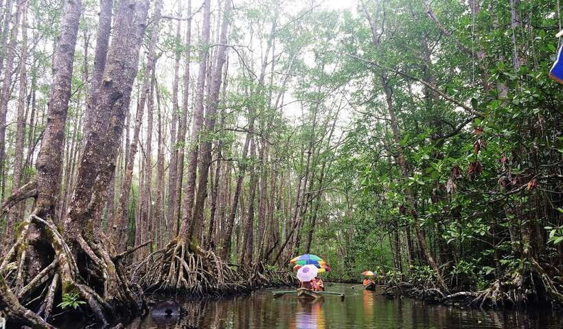 Puerto Princesa: Underground River, Zipline, Paddleboat Tour - Walking to Sabang X: Beach Stroll and a Quick Safety Reality Check