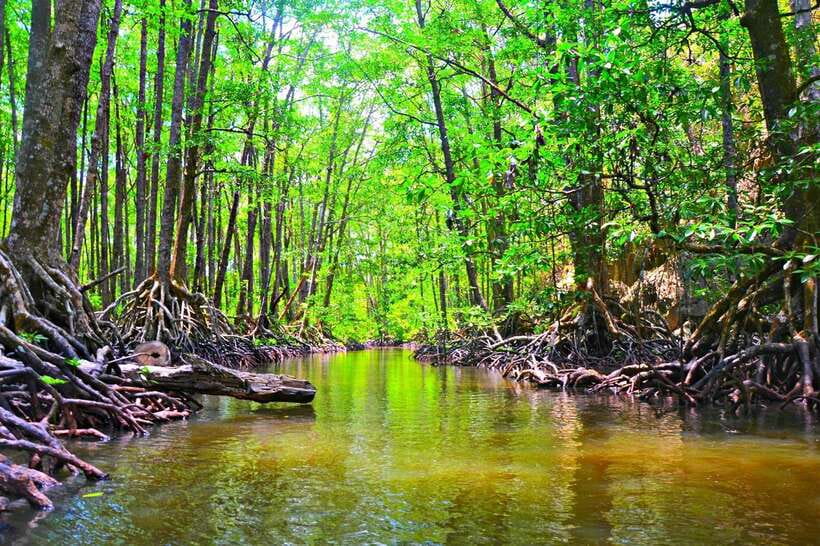 Puerto Princesa: Underground River, Zipline, Paddleboat Tour - Group Size, Guide Style, and Why It Feels Organized