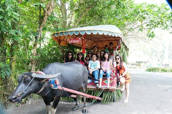 Sagada and Banaue Rice Terraces 4-Day Tour - Who Should Book This Tour, and Who Should Skip It