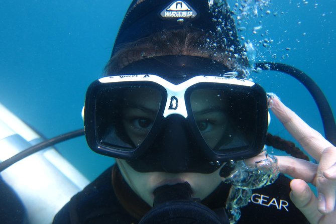 Scuba Diver Course (PADI) - Key things to know before you book
