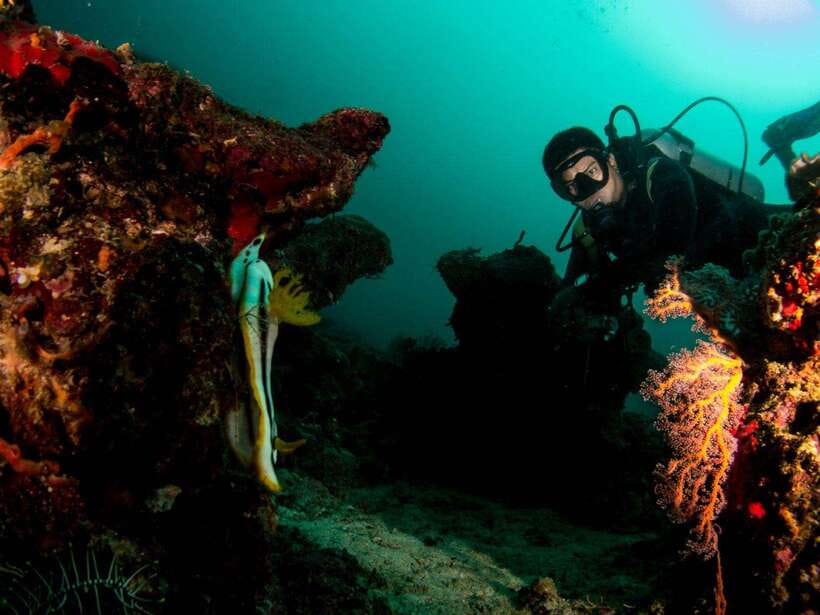 Scuba Diving in Boracay: SSI Basic Diver for Beginners - Key highlights at a glance